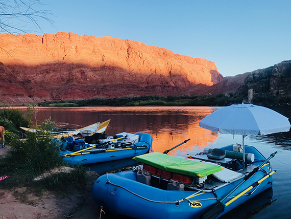 fusion interiors family